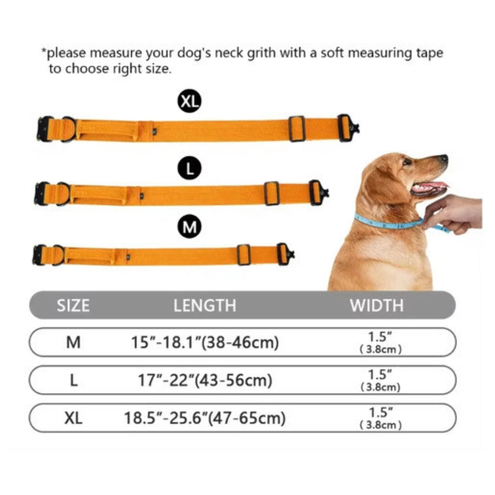 Durable Nylon Dog Collar