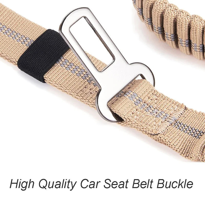 Reflective Shock Absorbing Leash