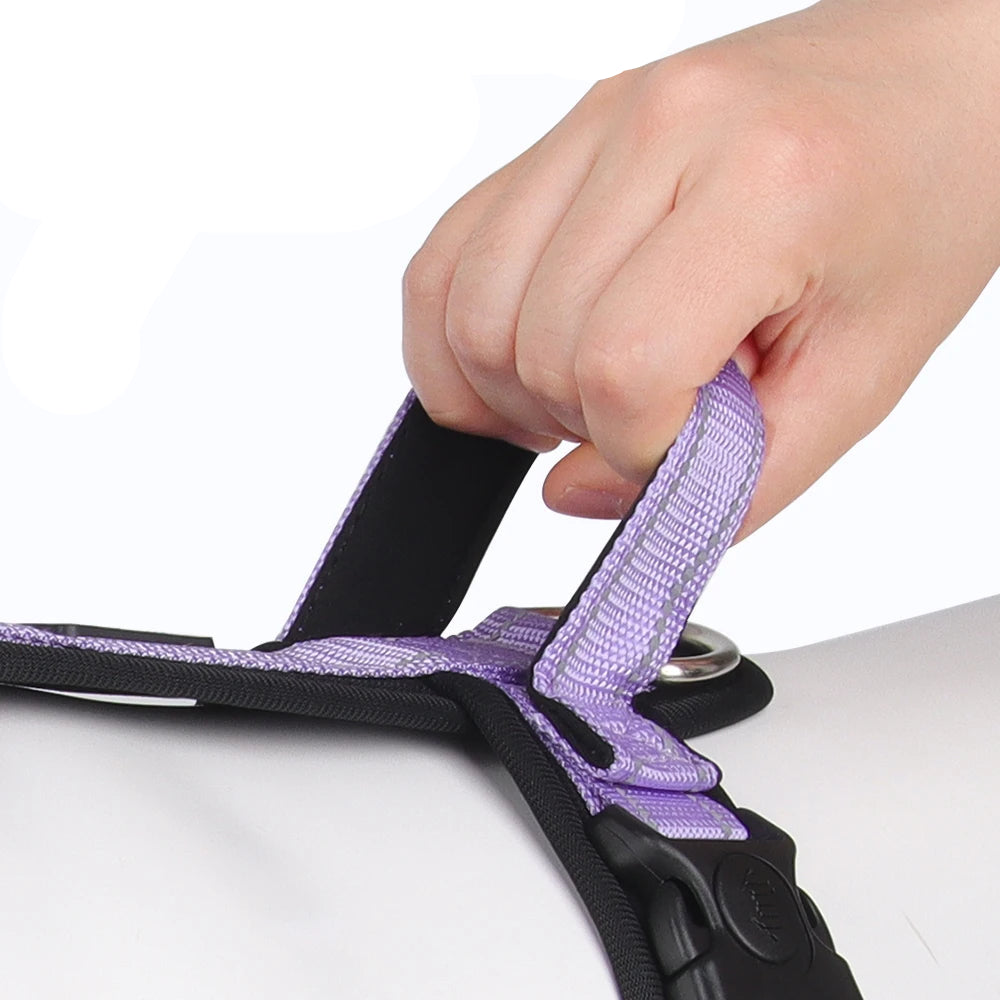 No-Pull Dog Harness