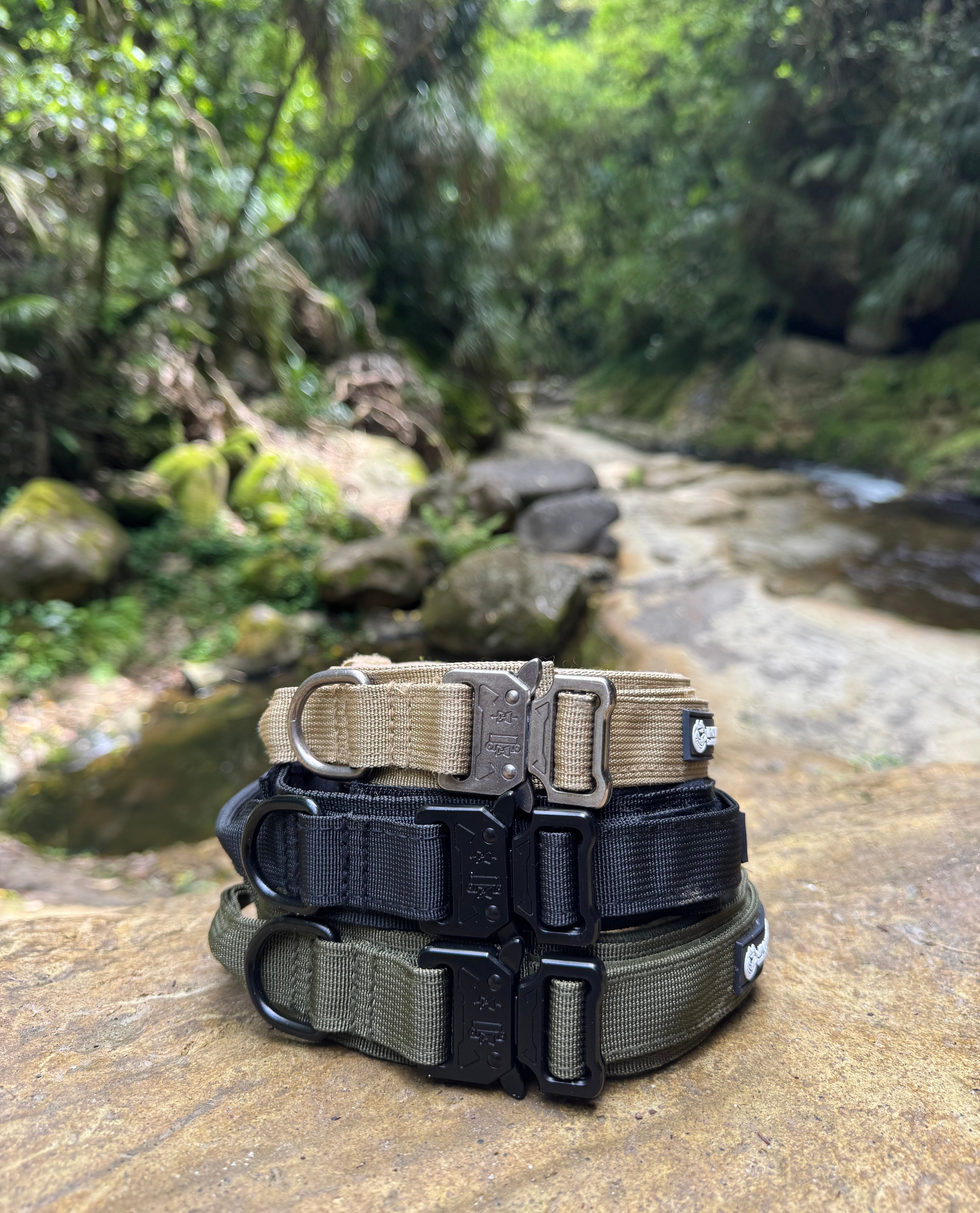 Durable Nylon Dog Collar