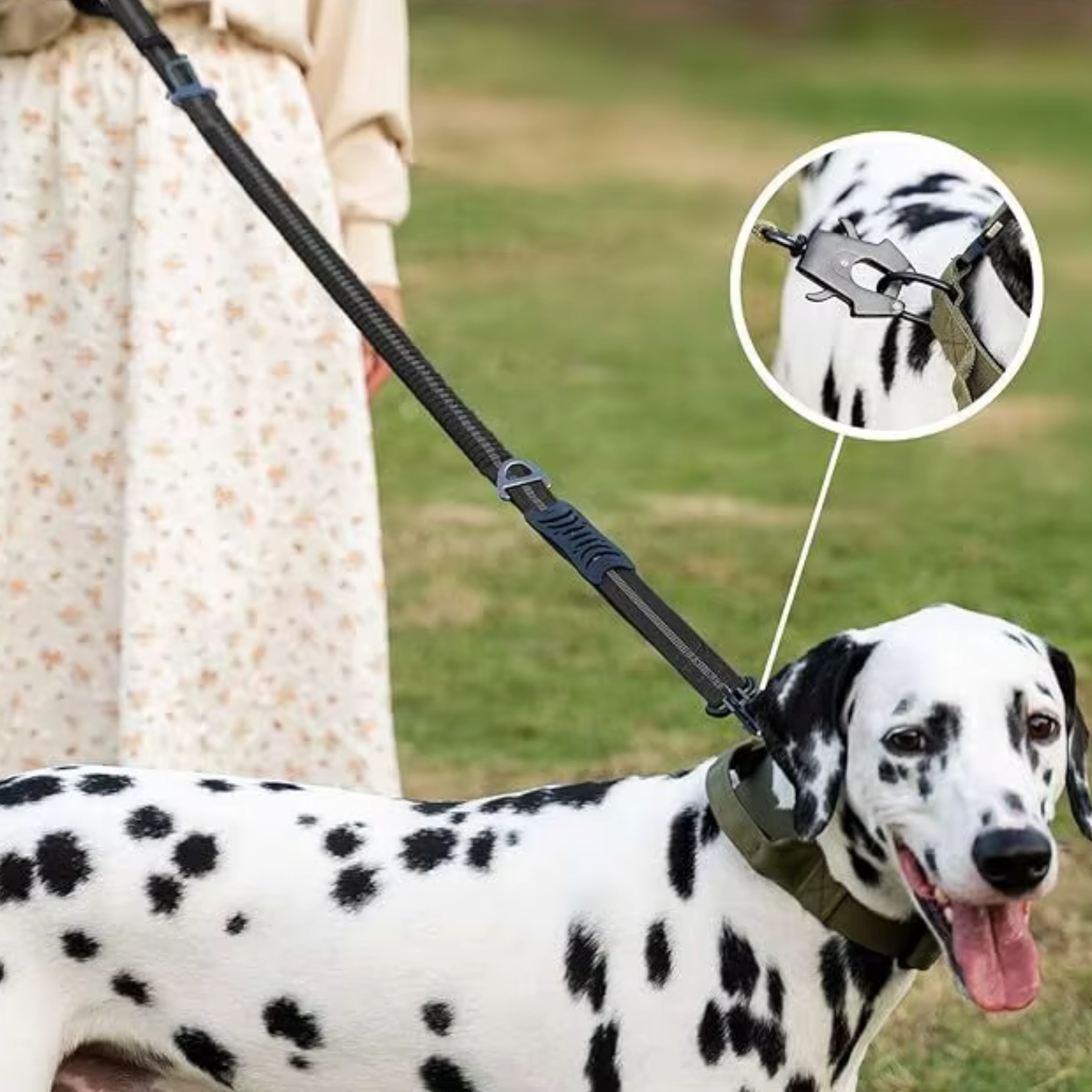 Reflective Shock Absorbing Leash