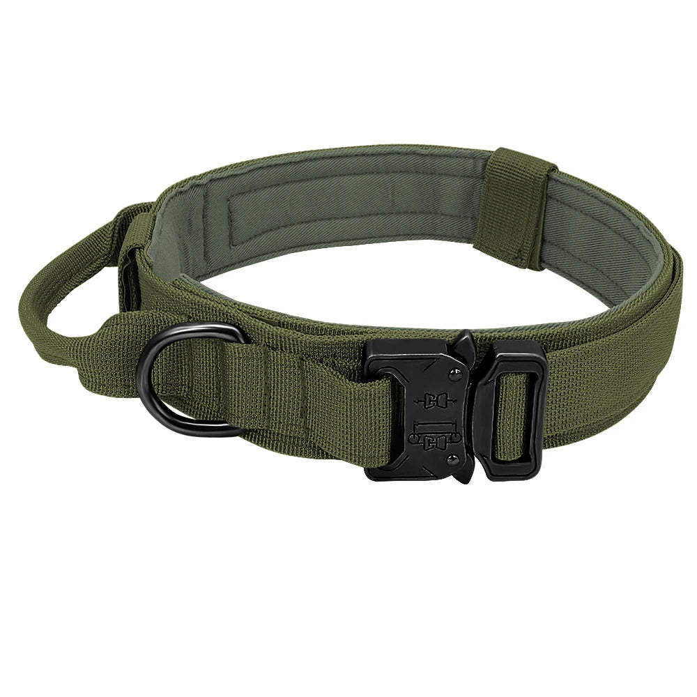 Durable Nylon Dog Collar