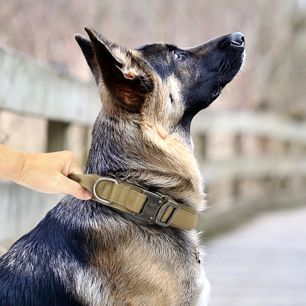 Durable Nylon Dog Collar