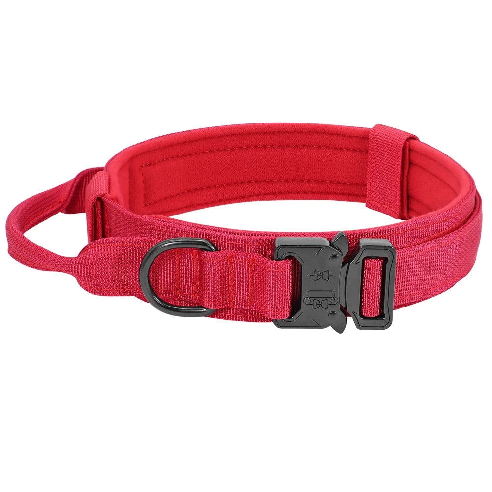 Durable Nylon Dog Collar